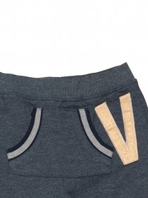 Штаны спортивные серо-синие утепленные "V" фото